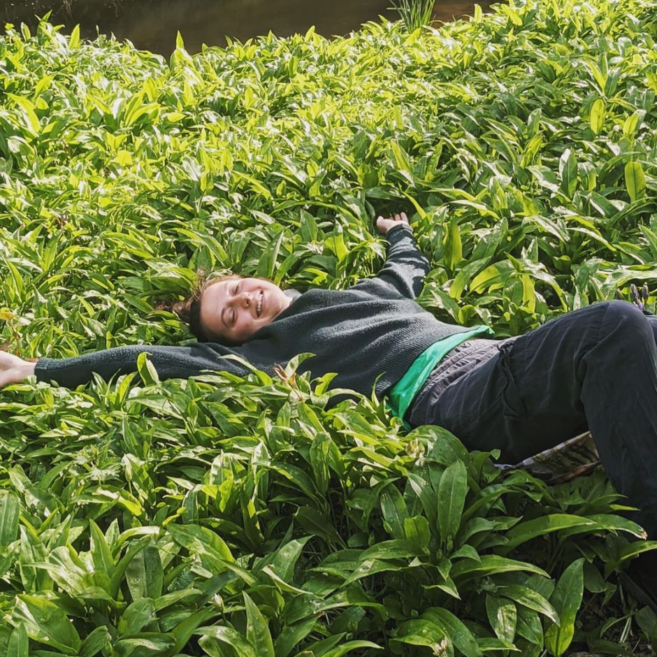 foraging wild garlic 